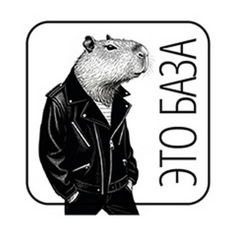 Объемная наклейка Капибары (1шт)