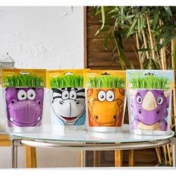 Happy Plant Львенок