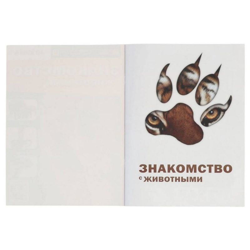 Энциклопедия 4D в дополненной реальности «Знакомство с животными»