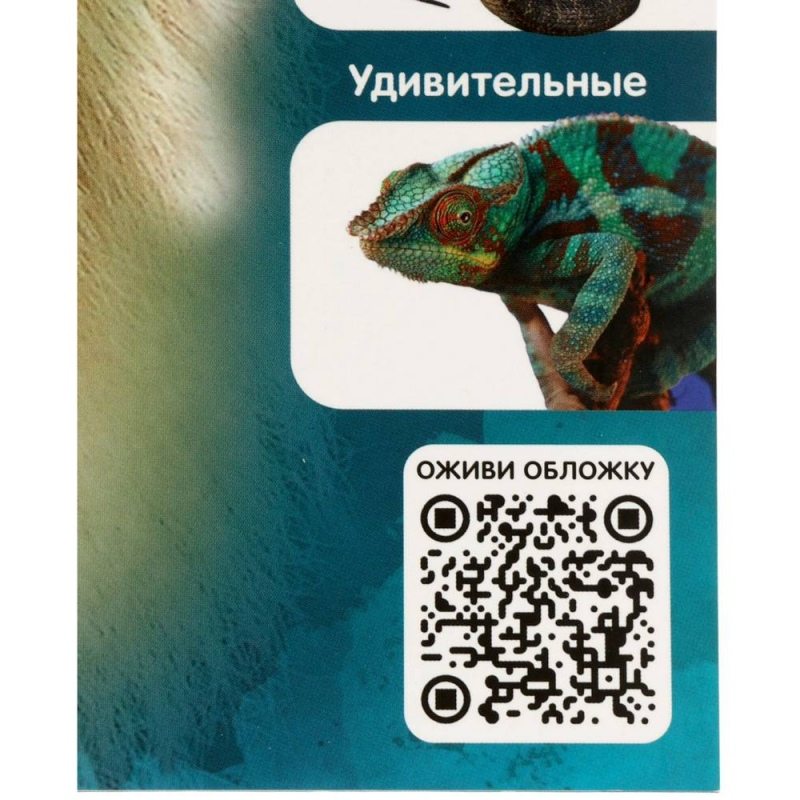 Энциклопедия 4D в дополненной реальности «Знакомство с животными»