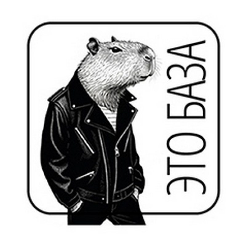 Объемная наклейка «Капибары» (1шт)